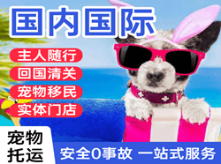 遵义新舟机场货运国际宠物托运 【国